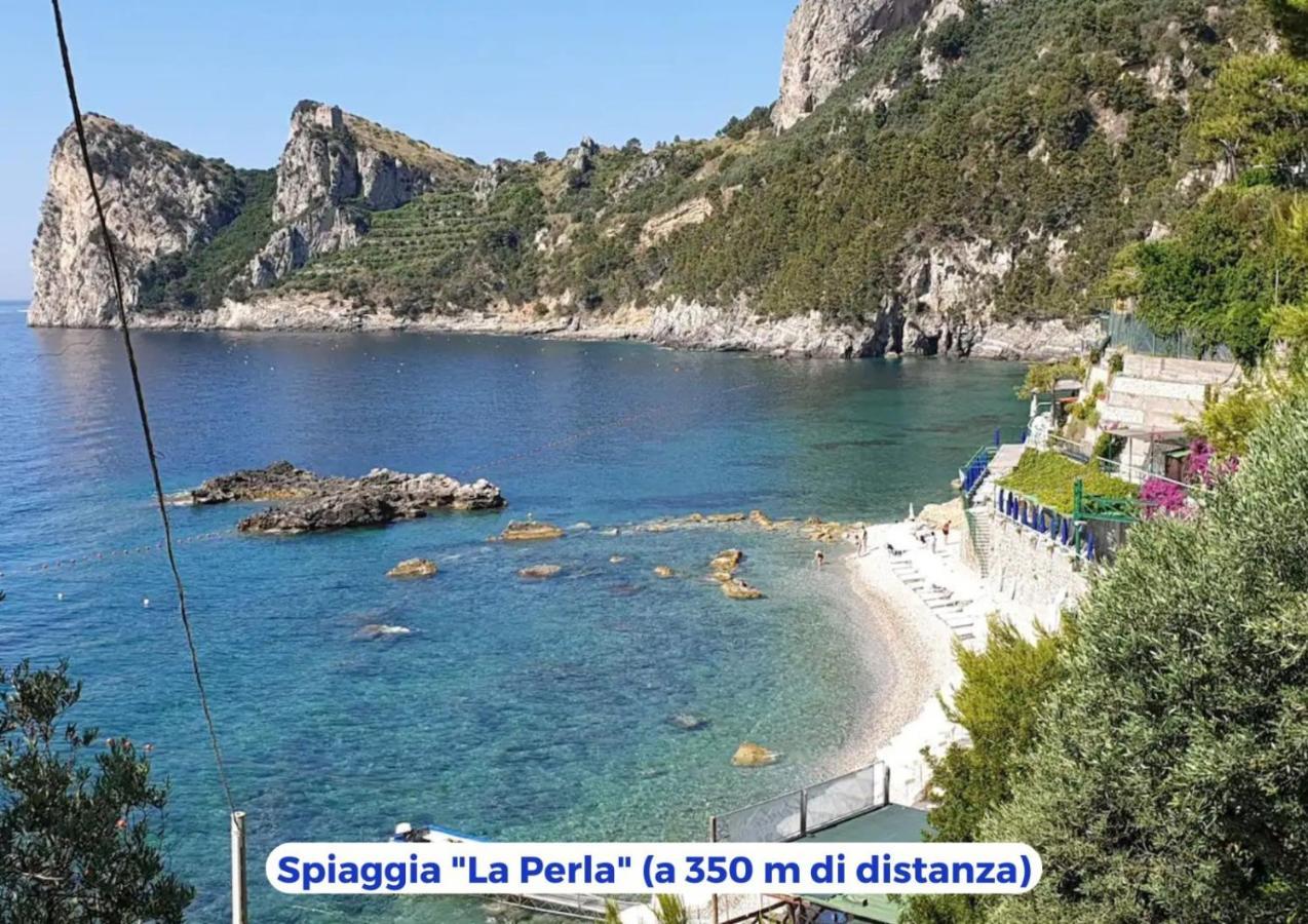 Siren Land - Marina Del Cantone Nerano Exterior photo